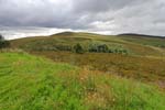 Cairngorms  National  Park 